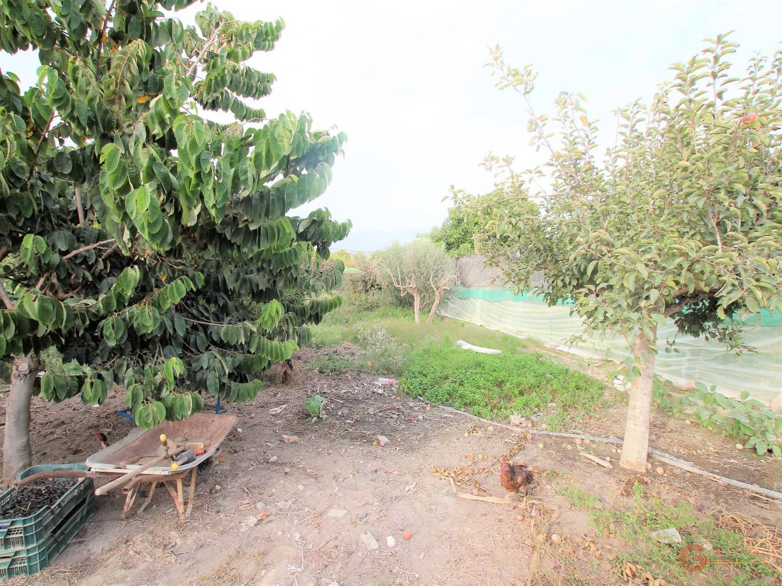 Byggegrund til salg i Motril - € 164.500 (Ref: 7184813)