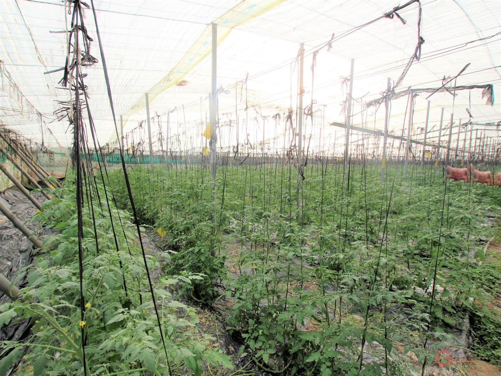 Byggegrund til salg i Motril - € 164.500 (Ref: 7184813)