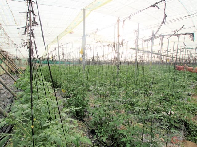 Bauplatz zu verkaufen in Motril - 164.500 € (Ref: 7184813)