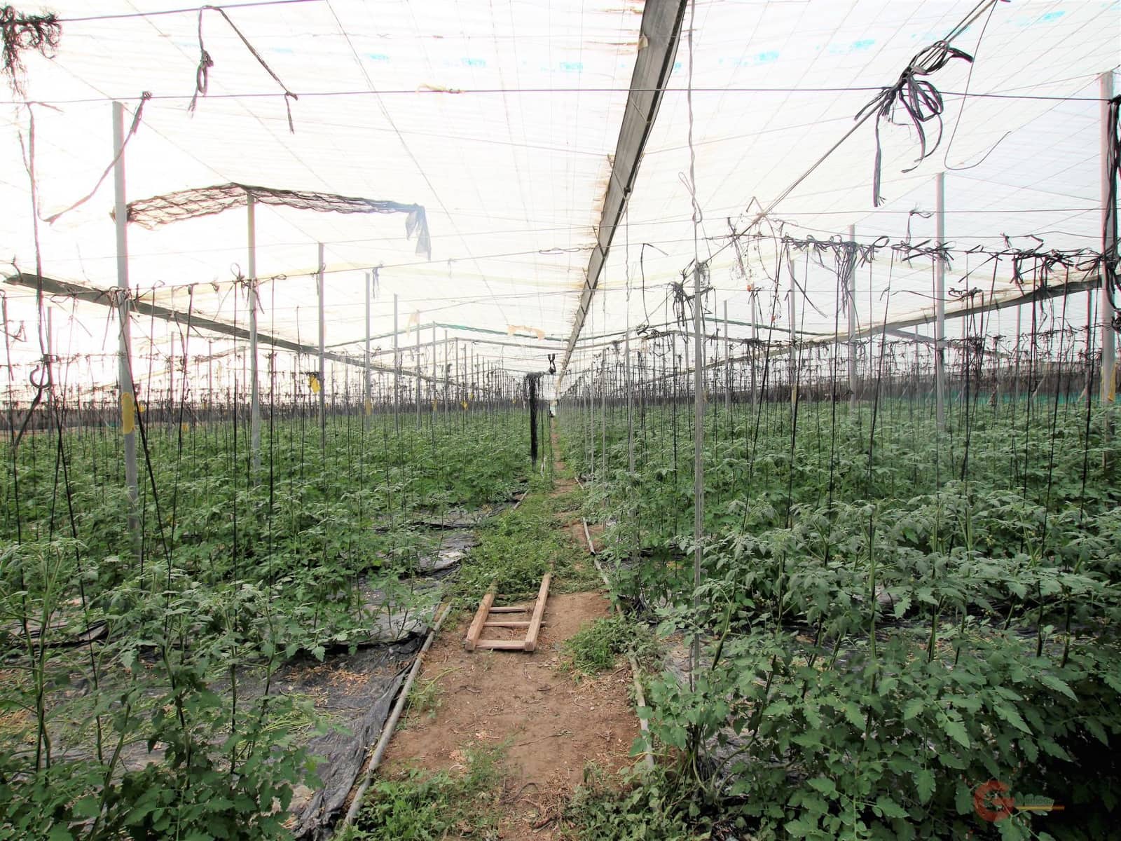 Byggegrund til salg i Motril - € 164.500 (Ref: 7184813)