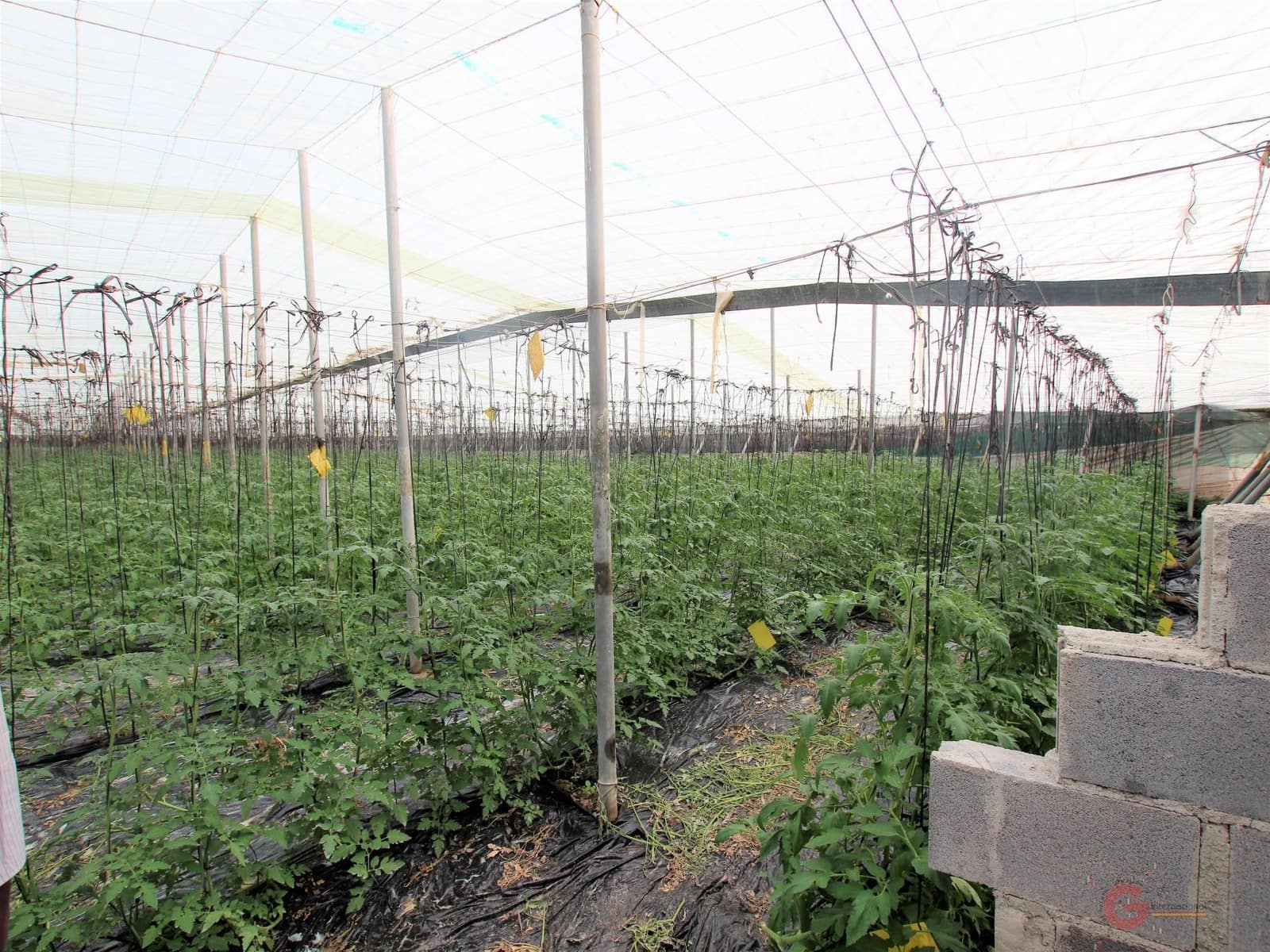 Byggegrund til salg i Motril - € 164.500 (Ref: 7184813)