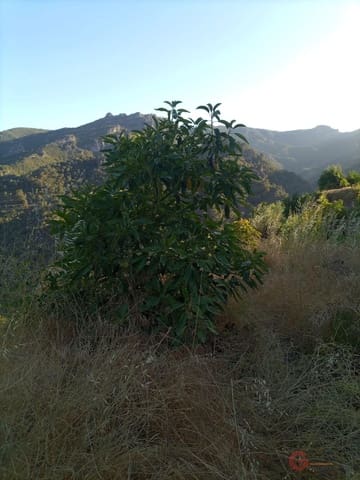 Building Plot for sale in Guajar Alto, Los Guajares - € 218,000 (Ref: 7193374)