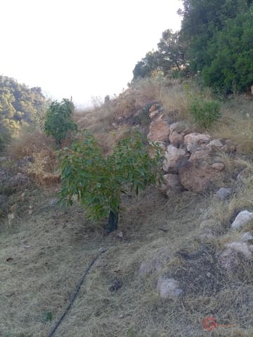 Building Plot for sale in Guajar Alto, Los Guajares - € 218,000 (Ref: 7193374)