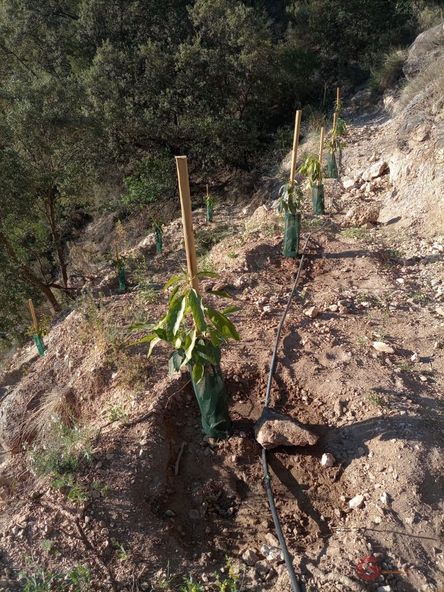 Byggegrund til salg i Guajar Alto - € 218.000 (Ref: 7193374)