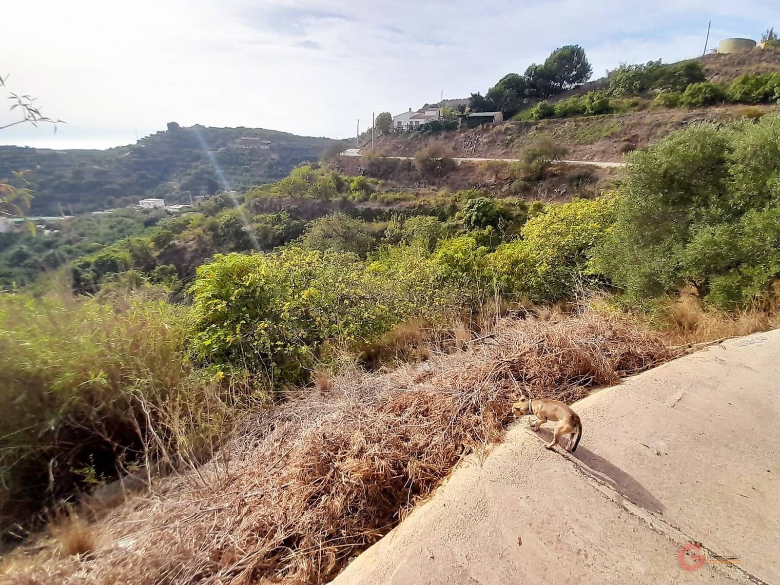 3 sypialnia Finka/Dom wiejski na sprzedaż w Motril - 222 900 € (Ref: 7193378)