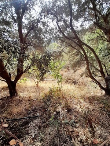 3 camera da letto Finca/Casa di Campagna in vendita in Motril - 222.900 € (Rif: 7193378)