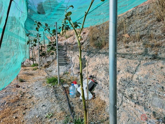 Byggegrund til salg i Molvízar - € 91.000 (Ref: 7220426)