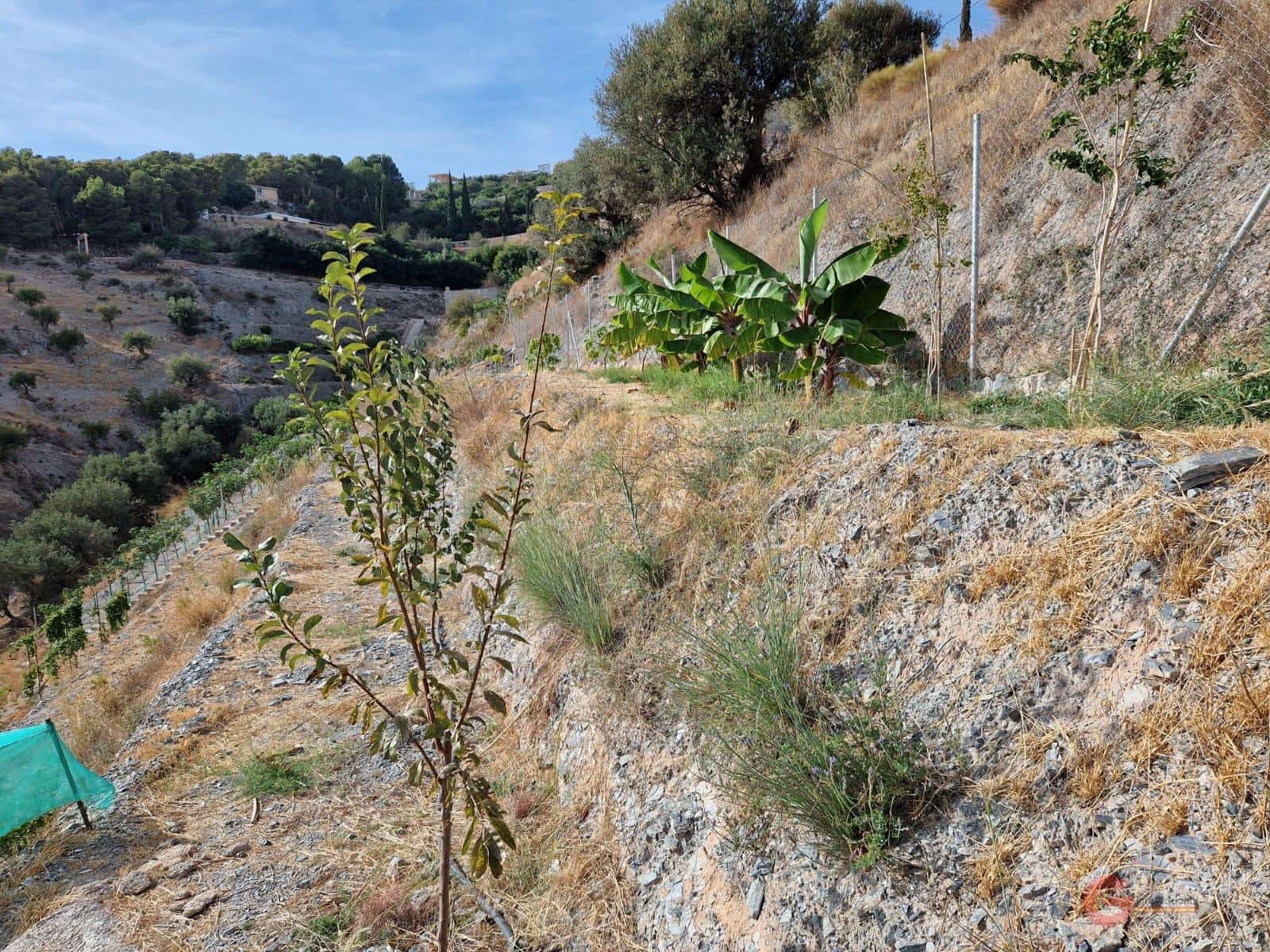 Byggegrund til salg i Molvizar - € 91.000 (Ref: 7220426)