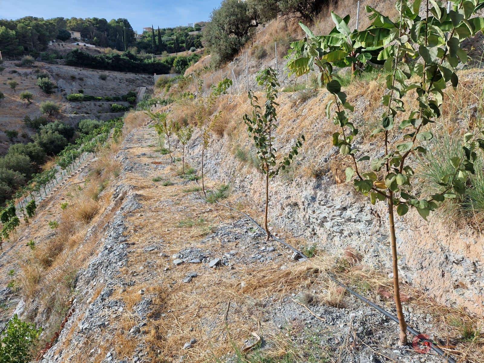 Byggegrund til salg i Molvizar - € 91.000 (Ref: 7220426)