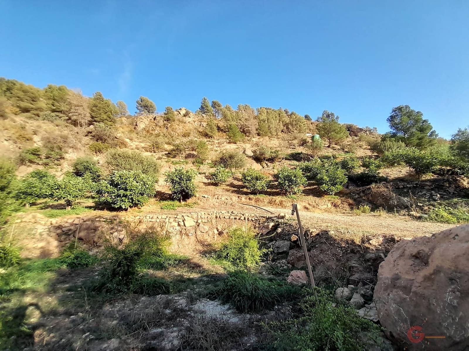 Ubebygd land til salgs i Velez de Benaudalla - € 371 900 (Ref: 7220429)