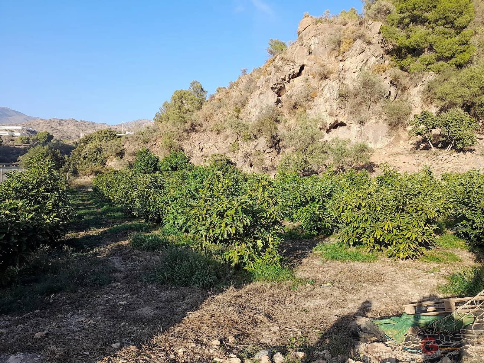 Ubebygd land til salgs i Velez de Benaudalla - € 371 900 (Ref: 7220429)