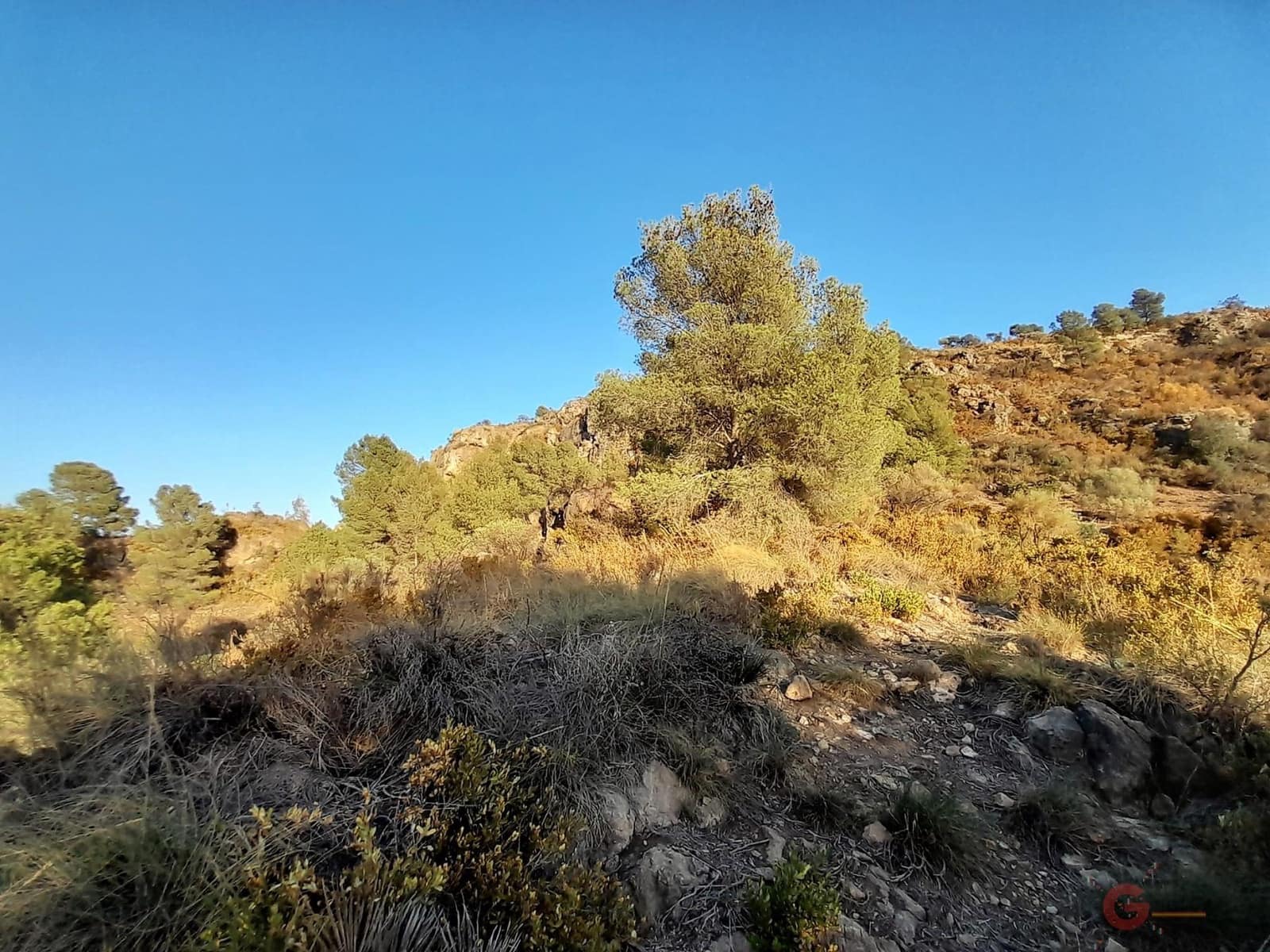 Ubebygd land til salgs i Velez de Benaudalla - € 371 900 (Ref: 7220429)