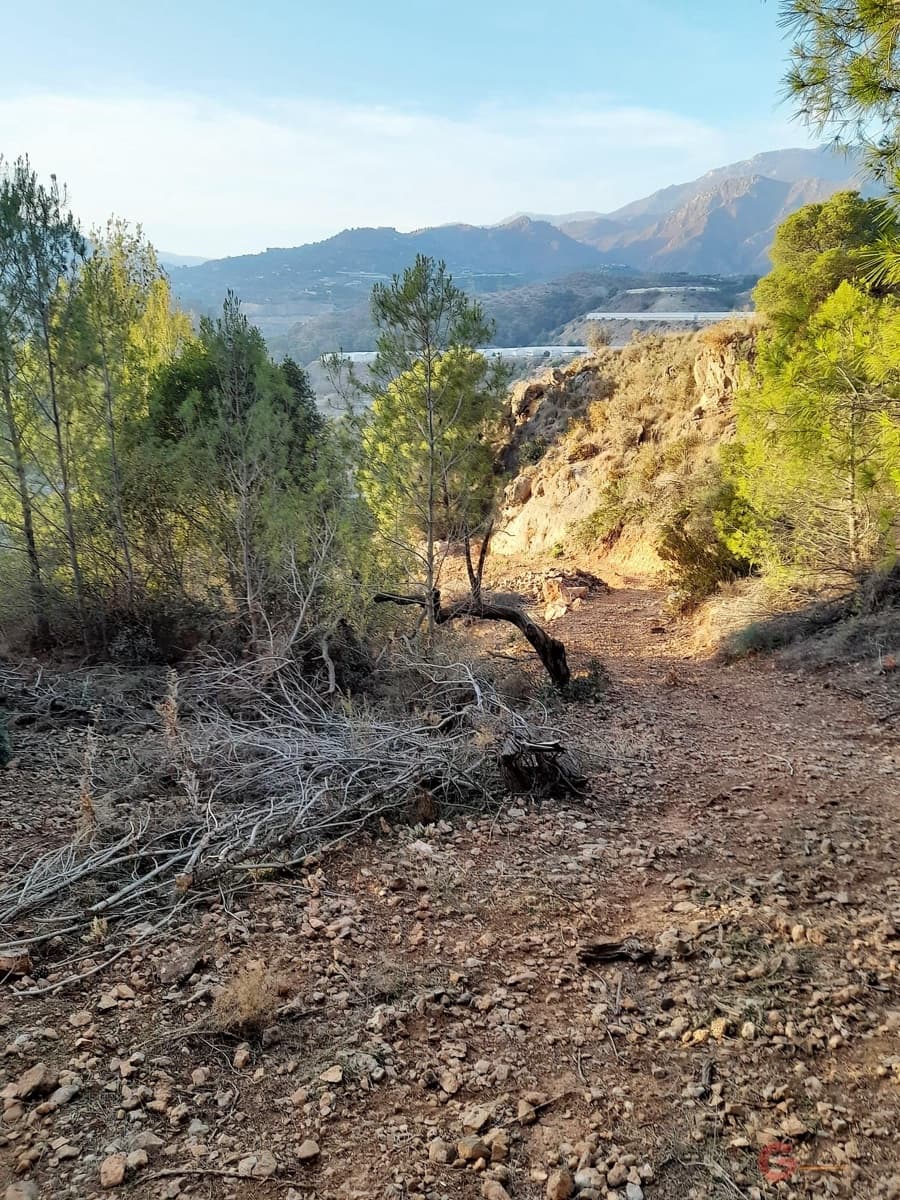 Ubebygd land til salgs i Velez de Benaudalla - € 371 900 (Ref: 7220429)