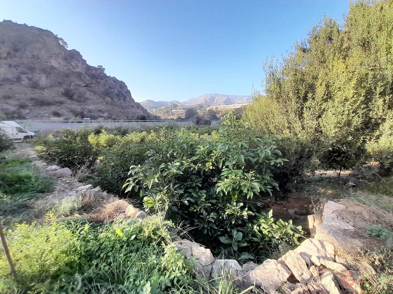 Ubebygd land til salgs i Velez de Benaudalla - € 371 900 (Ref: 7220429)