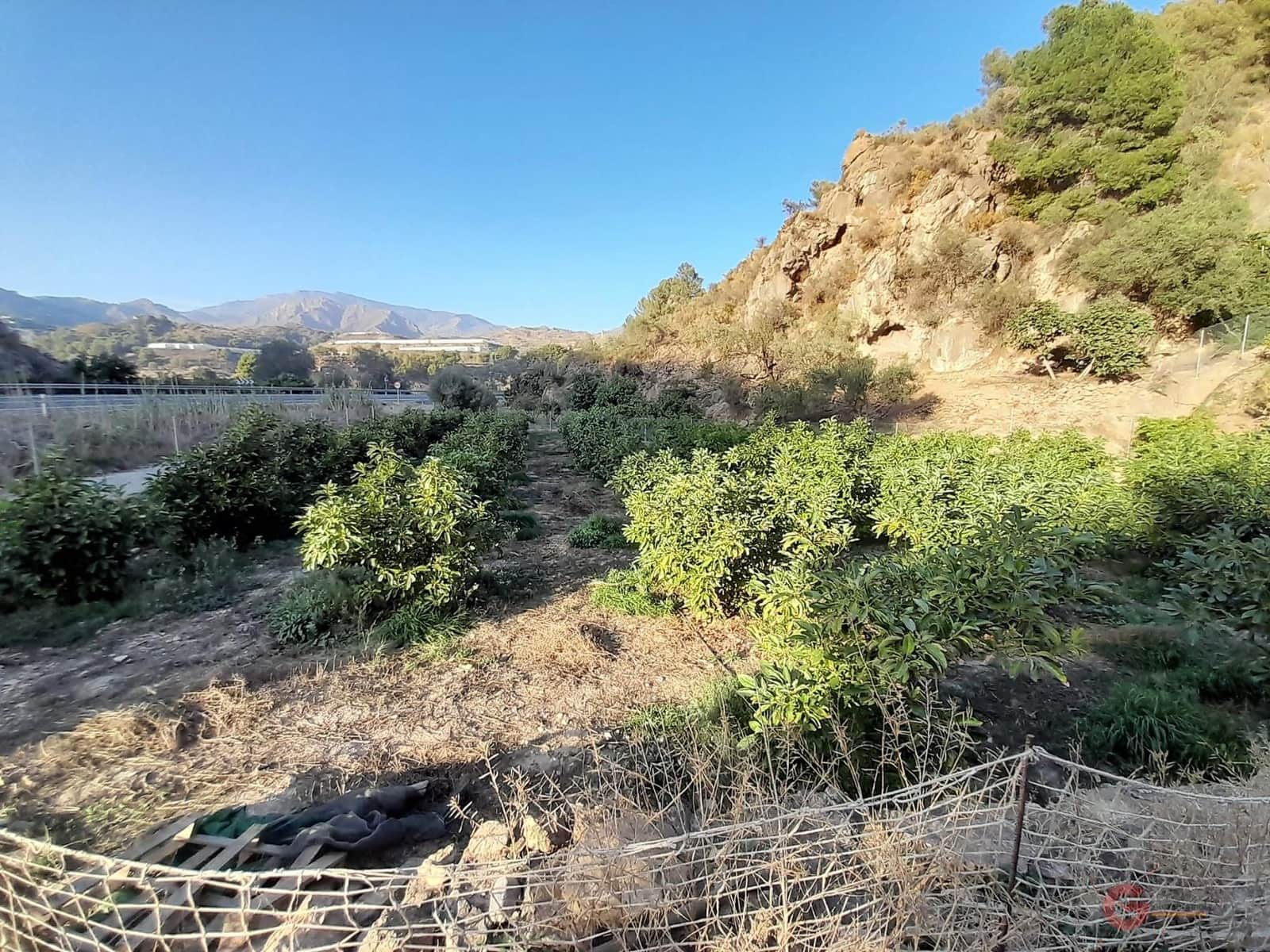 Ubebygd land til salgs i Velez de Benaudalla - € 371 900 (Ref: 7220429)