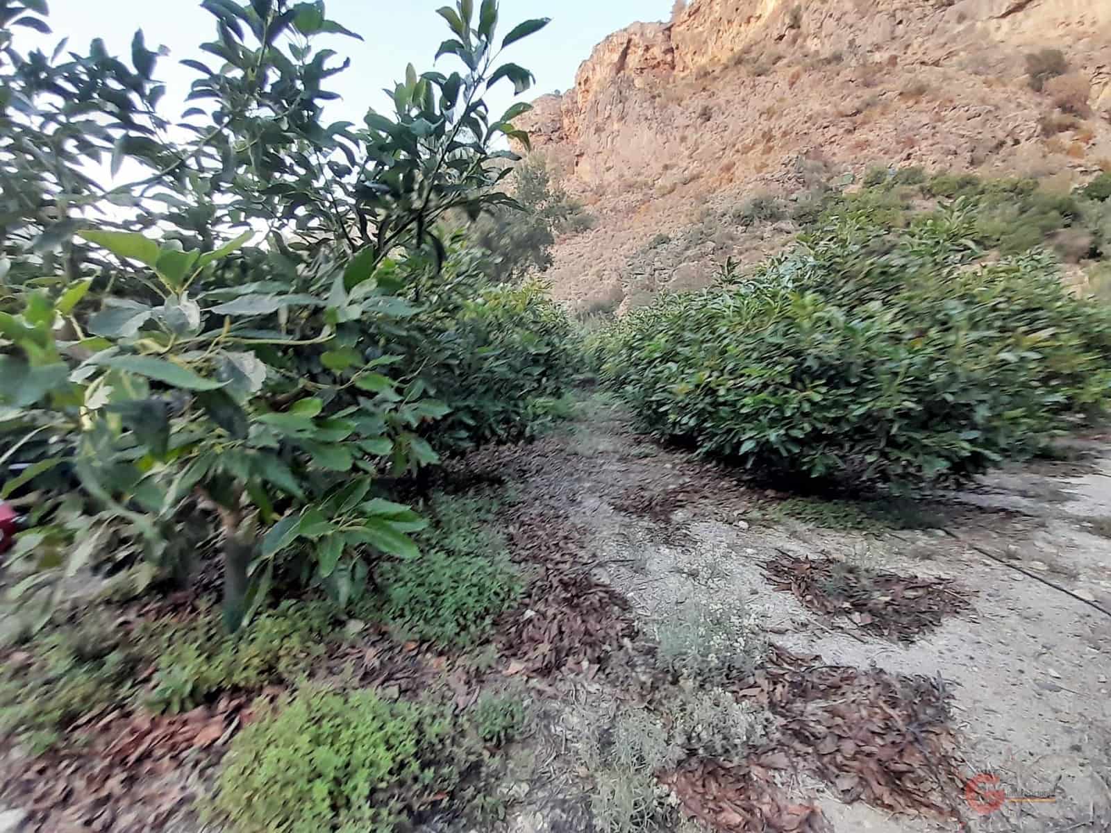 Grunde uden byggetilladelser til salg i Velez de Benaudalla - € 371.900 (Ref: 7220430)