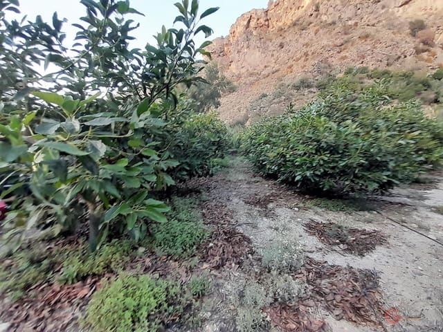 Rakentamaton maa myytävänä paikassa Vélez de Benaudalla - 371 900 € (Ref: 7220430)