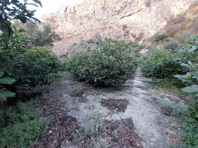 Rakentamaton maa myytävänä paikassa Vélez de Benaudalla - 371 900 € (Ref: 7220430)