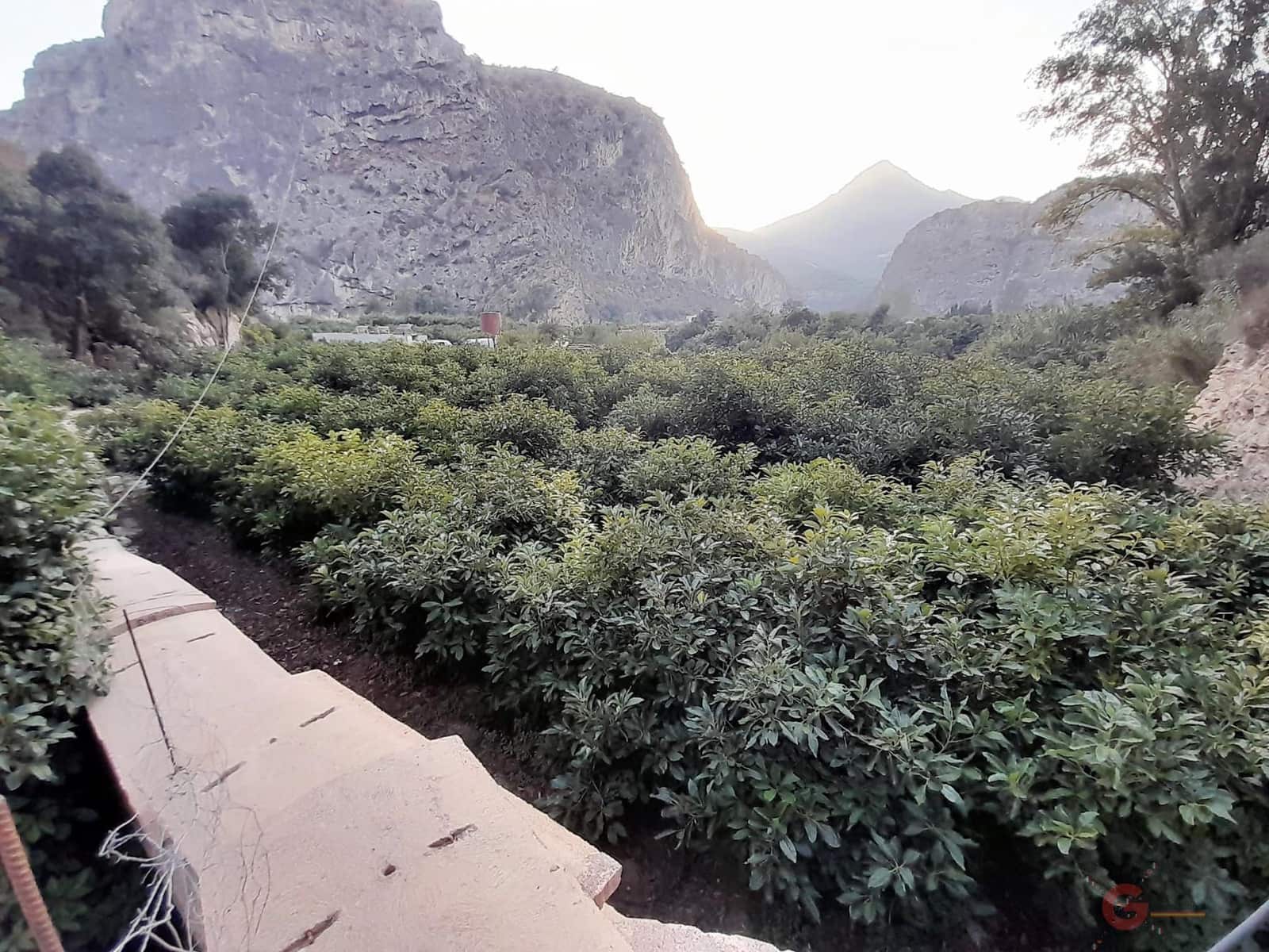 Grunde uden byggetilladelser til salg i Velez de Benaudalla - € 371.900 (Ref: 7220430)