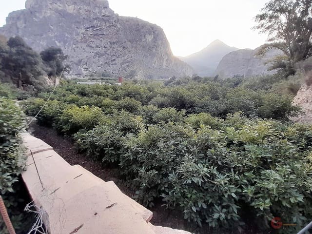 Rakentamaton maa myytävänä paikassa Vélez de Benaudalla - 371 900 € (Ref: 7220430)