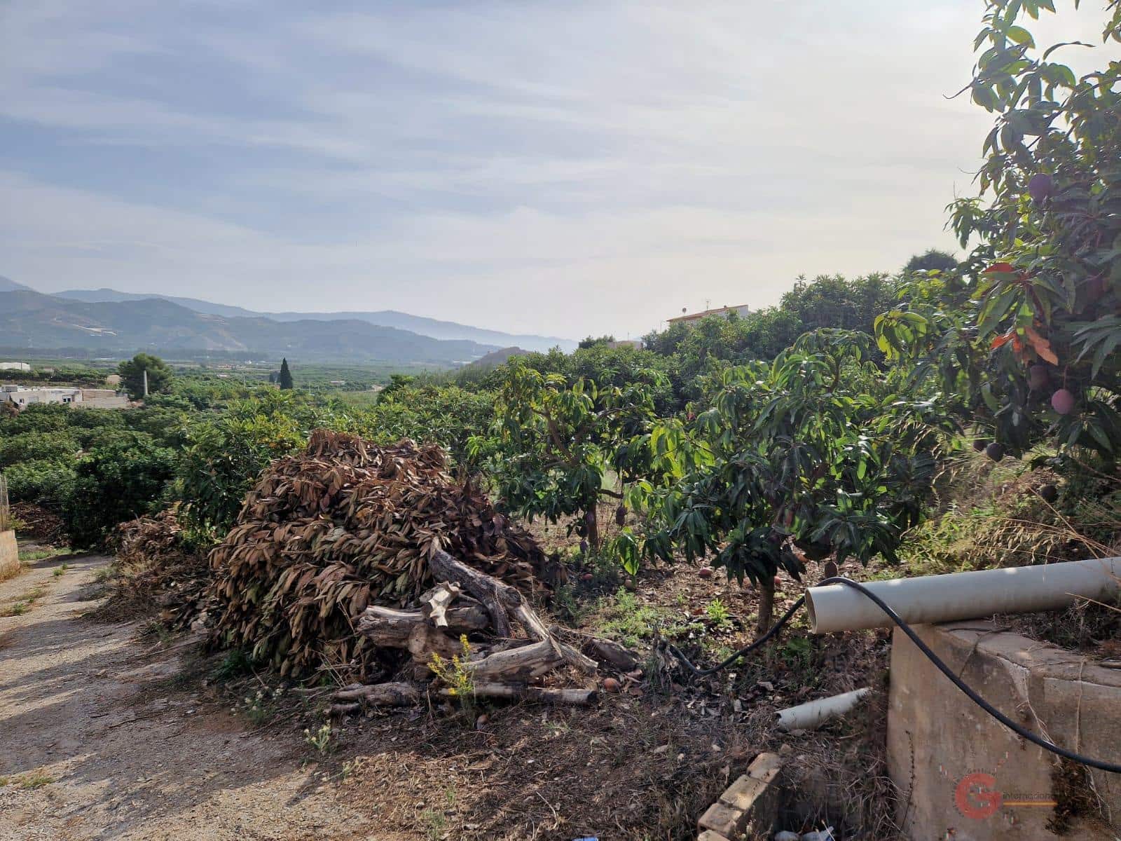 Building Plot for sale in Salobrena - € 239,000 (Ref: 7220431)