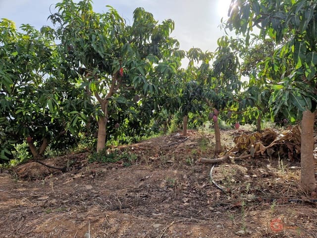 Area Edificabile in vendita in Salobreña - 239.000 € (Rif: 7220431)