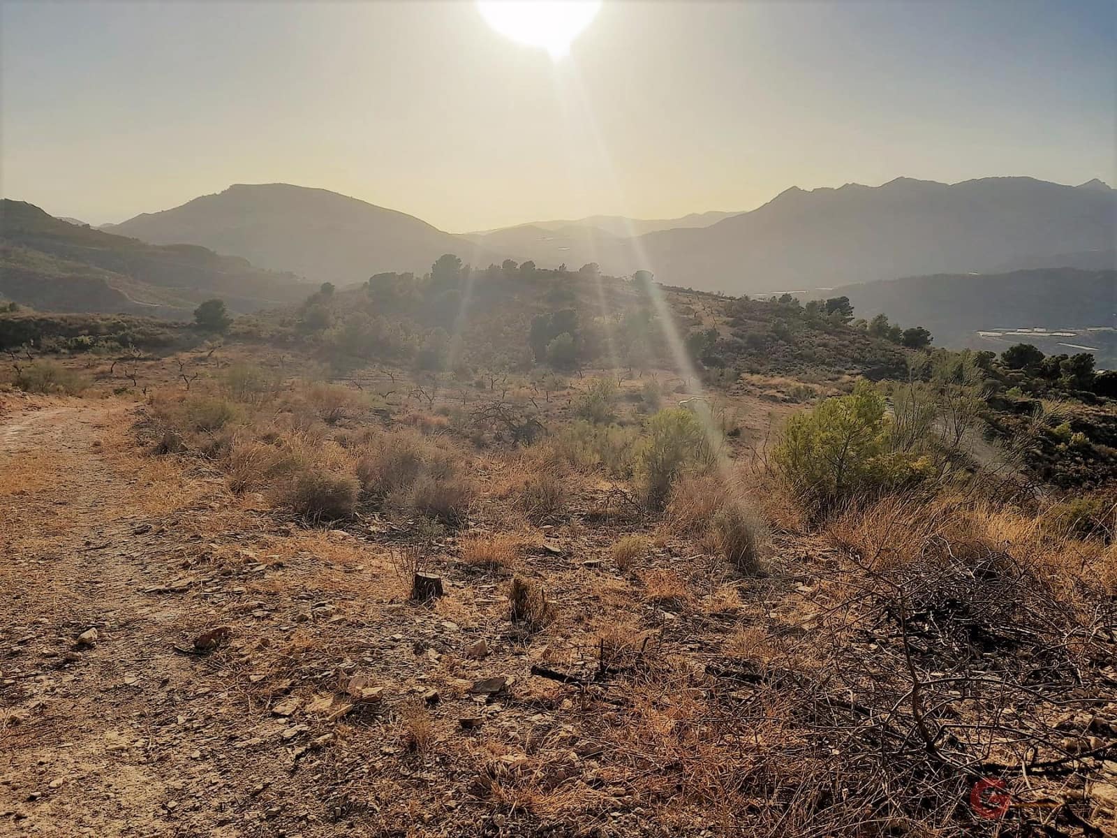 Byggegrund til salg i Velez de Benaudalla - € 480.000 (Ref: 7225089)