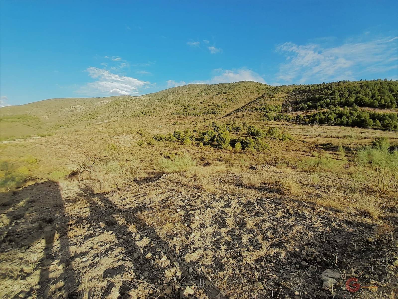 Byggegrund til salg i Velez de Benaudalla - € 480.000 (Ref: 7225089)