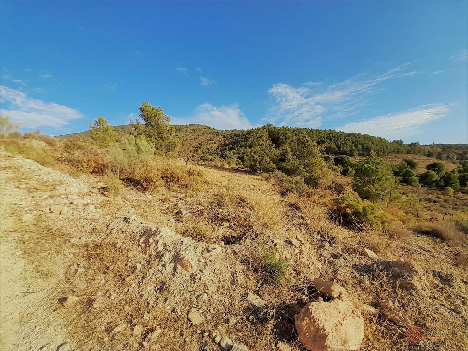 Byggegrund til salg i Velez de Benaudalla - € 480.000 (Ref: 7225089)