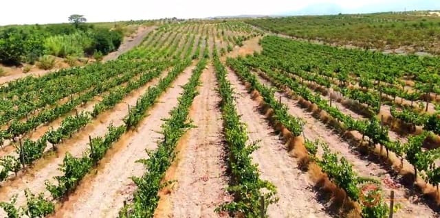 6 soveværelse Villa til salg i Gor med garage - € 975.000 (Ref: 7235097)