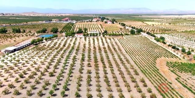 6 soveværelse Villa til salg i Gor med garage - € 975.000 (Ref: 7235097)