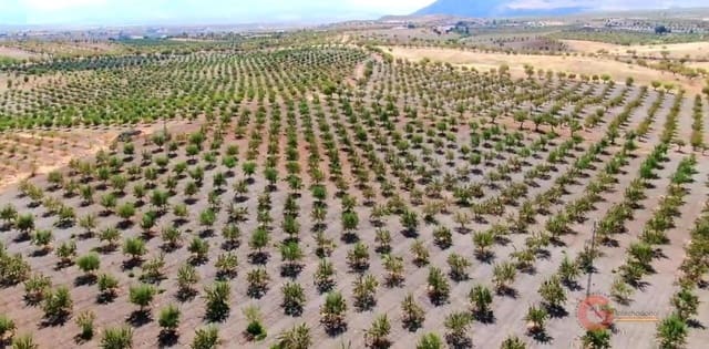 6 soveværelse Villa til salg i Gor med garage - € 975.000 (Ref: 7235097)