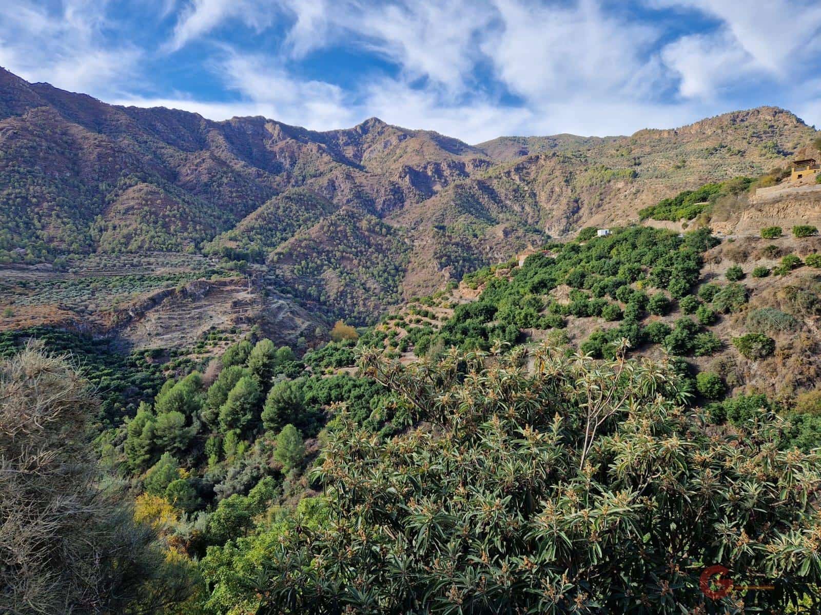 Byggegrund til salg i Guajar Fondon - € 48.000 (Ref: 7295512)