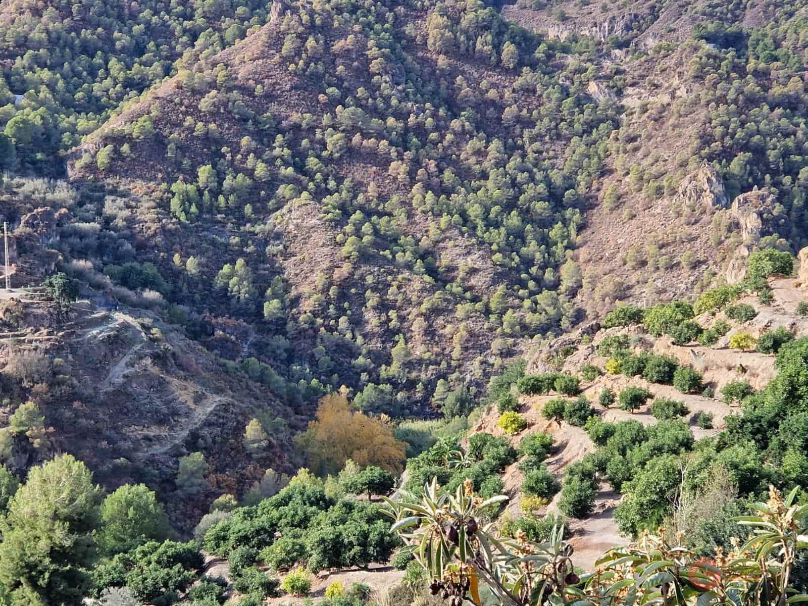 Byggegrund til salg i Guajar Fondon - € 48.000 (Ref: 7295512)