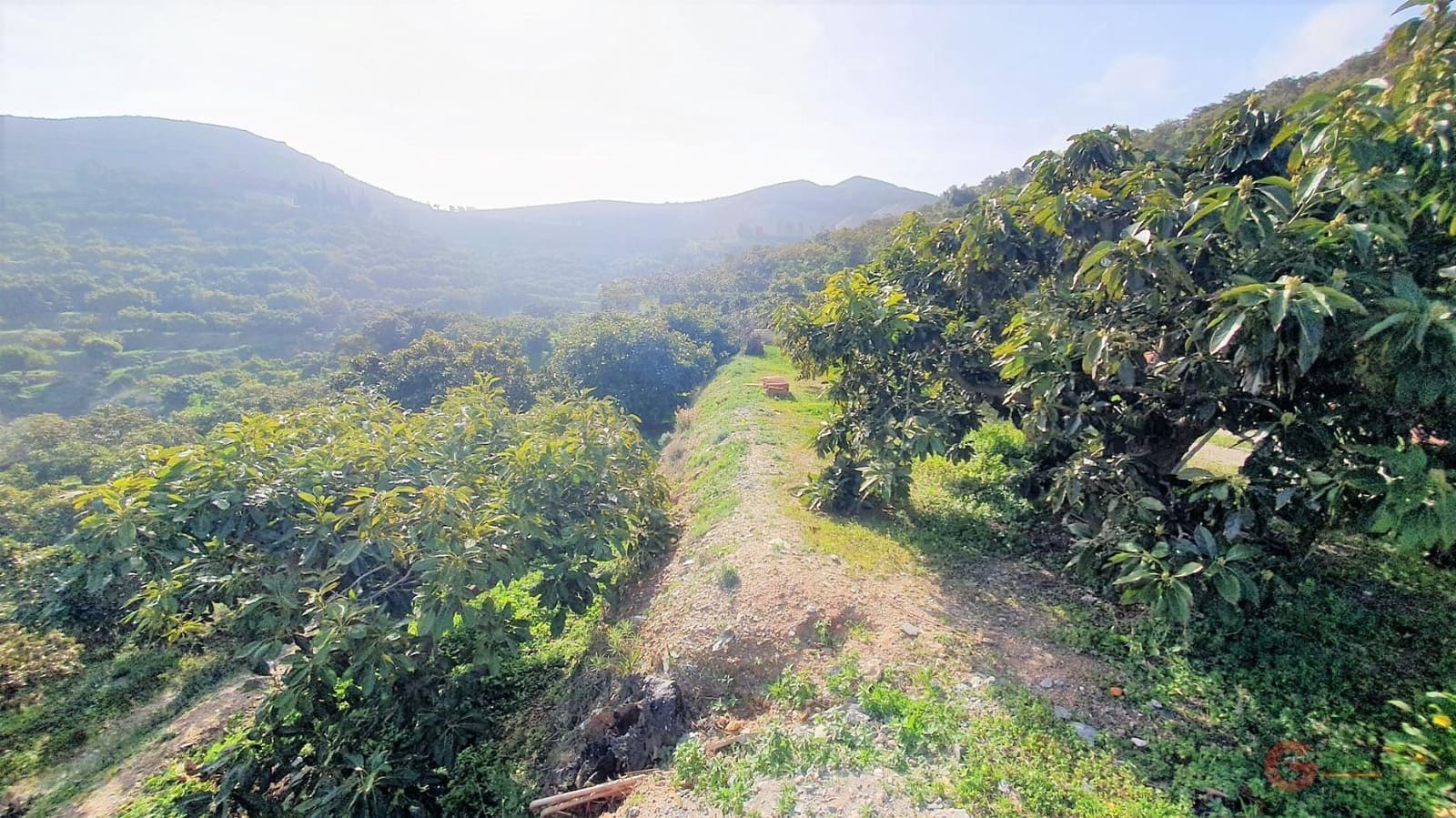 7 sypialnia Finka/Dom wiejski na sprzedaż w Motril z basenem - 675 000 € (Ref: 7423966)