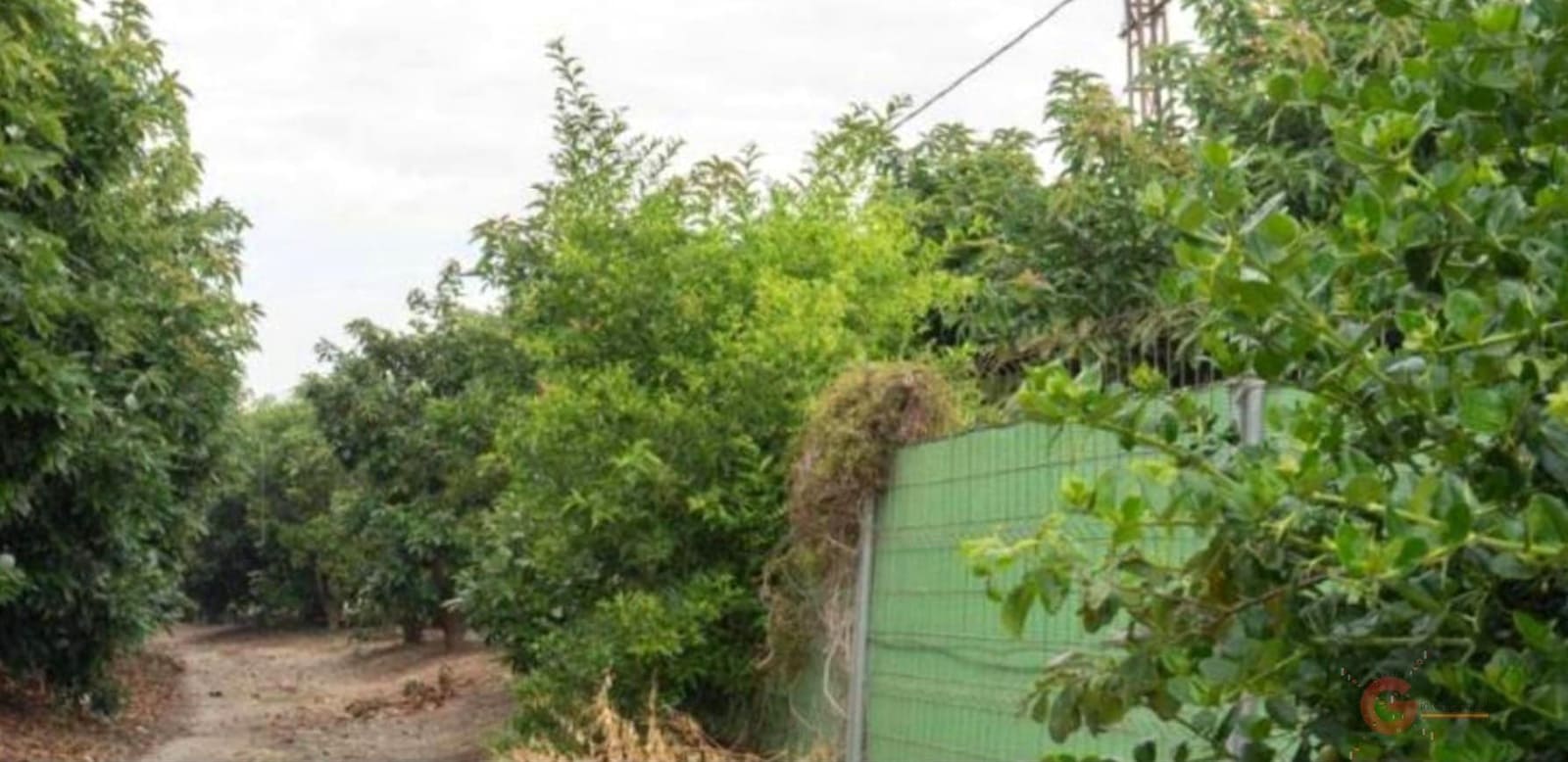 7 sypialnia Finka/Dom wiejski na sprzedaż w Motril z basenem - 675 000 € (Ref: 7423966)