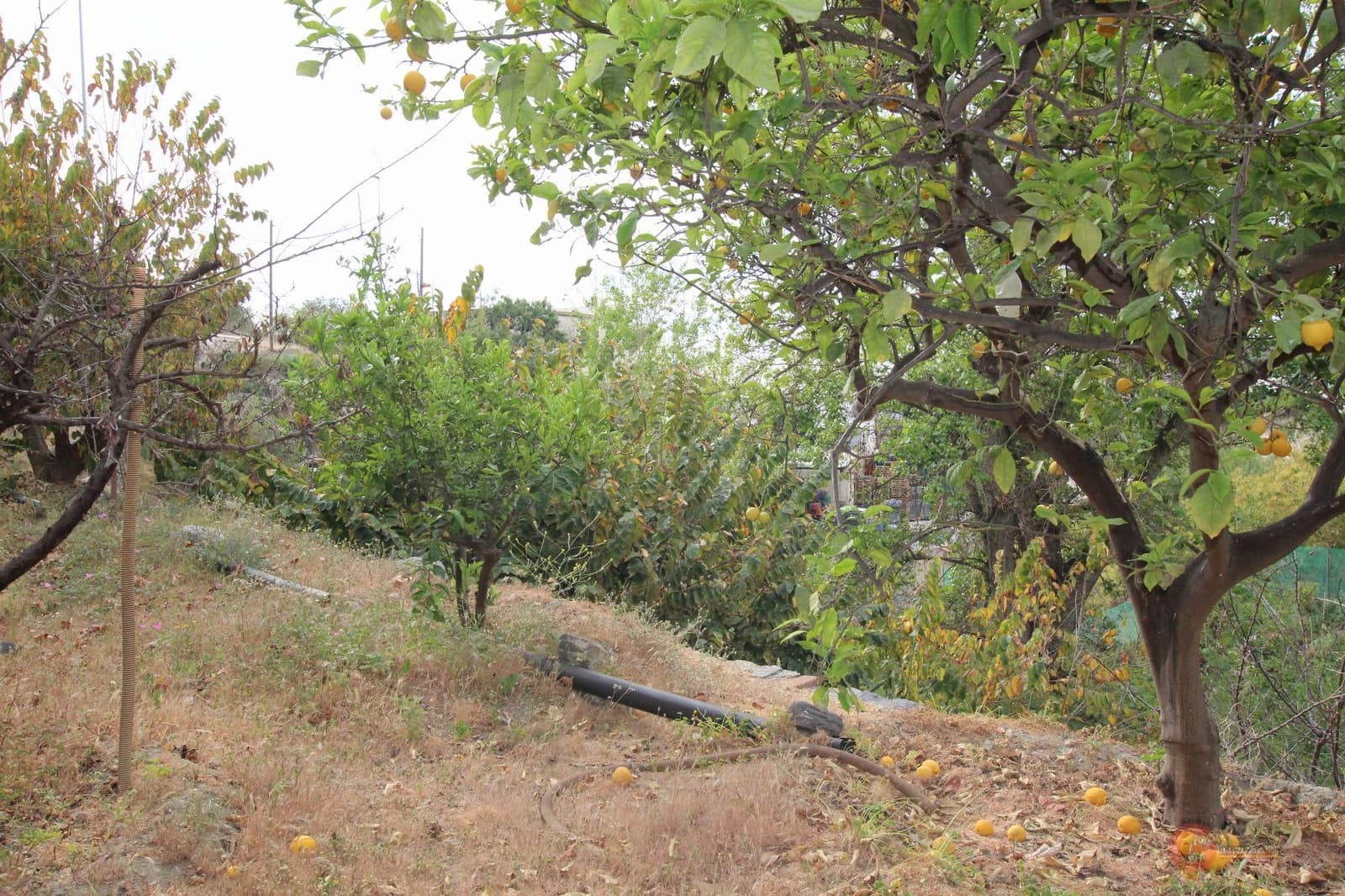 3 slaapkamer Villa te koop in Molvizar - € 244.000 (Ref: 7537148)