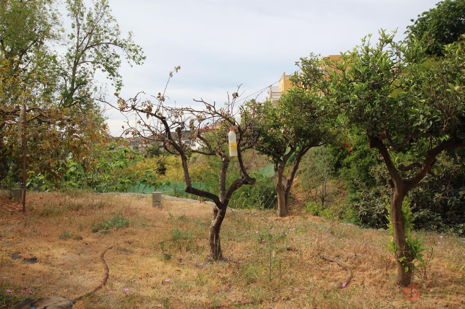 3 slaapkamer Villa te koop in Molvizar - € 244.000 (Ref: 7537148)