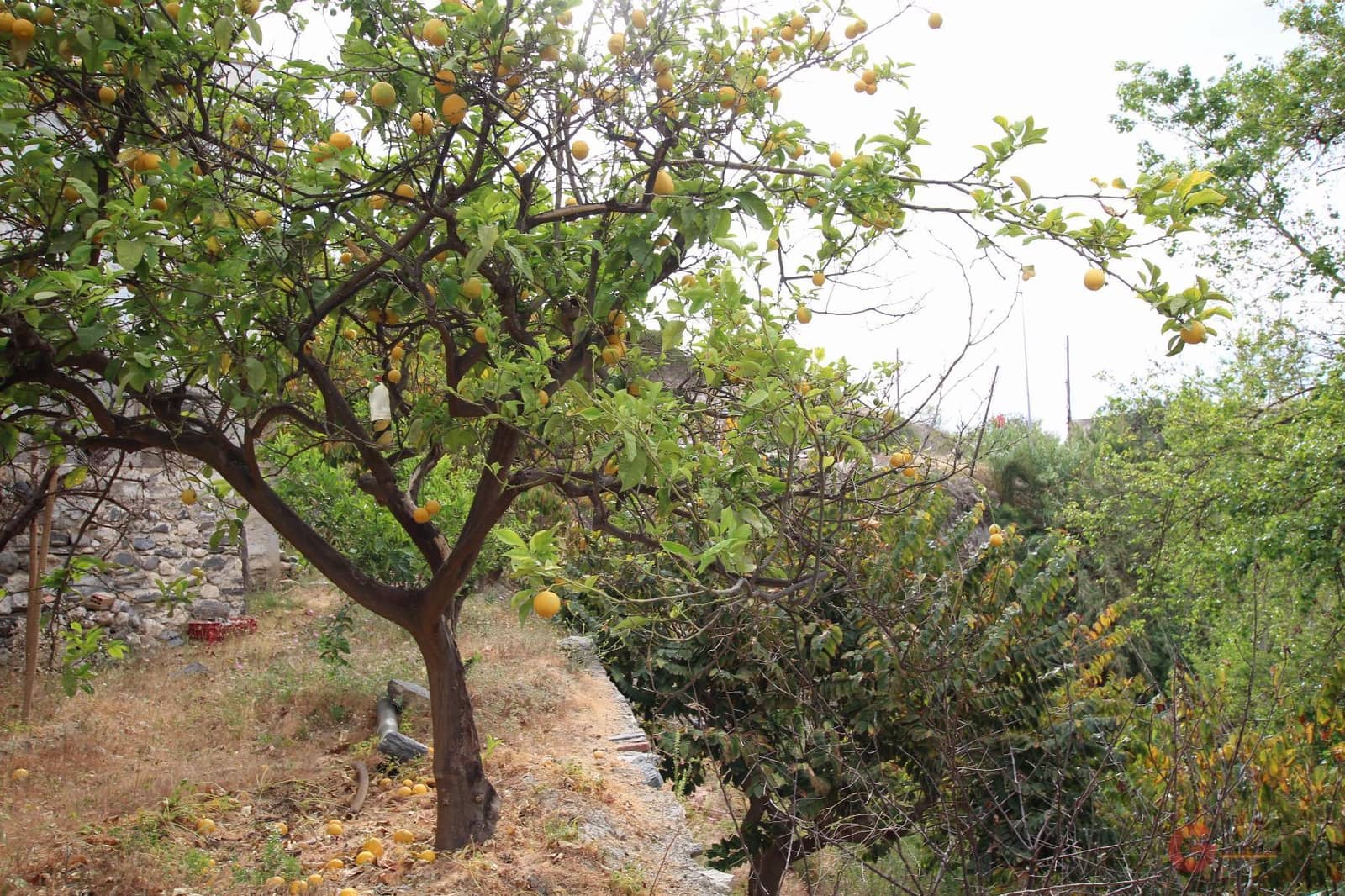 3 slaapkamer Villa te koop in Molvizar - € 244.000 (Ref: 7537148)