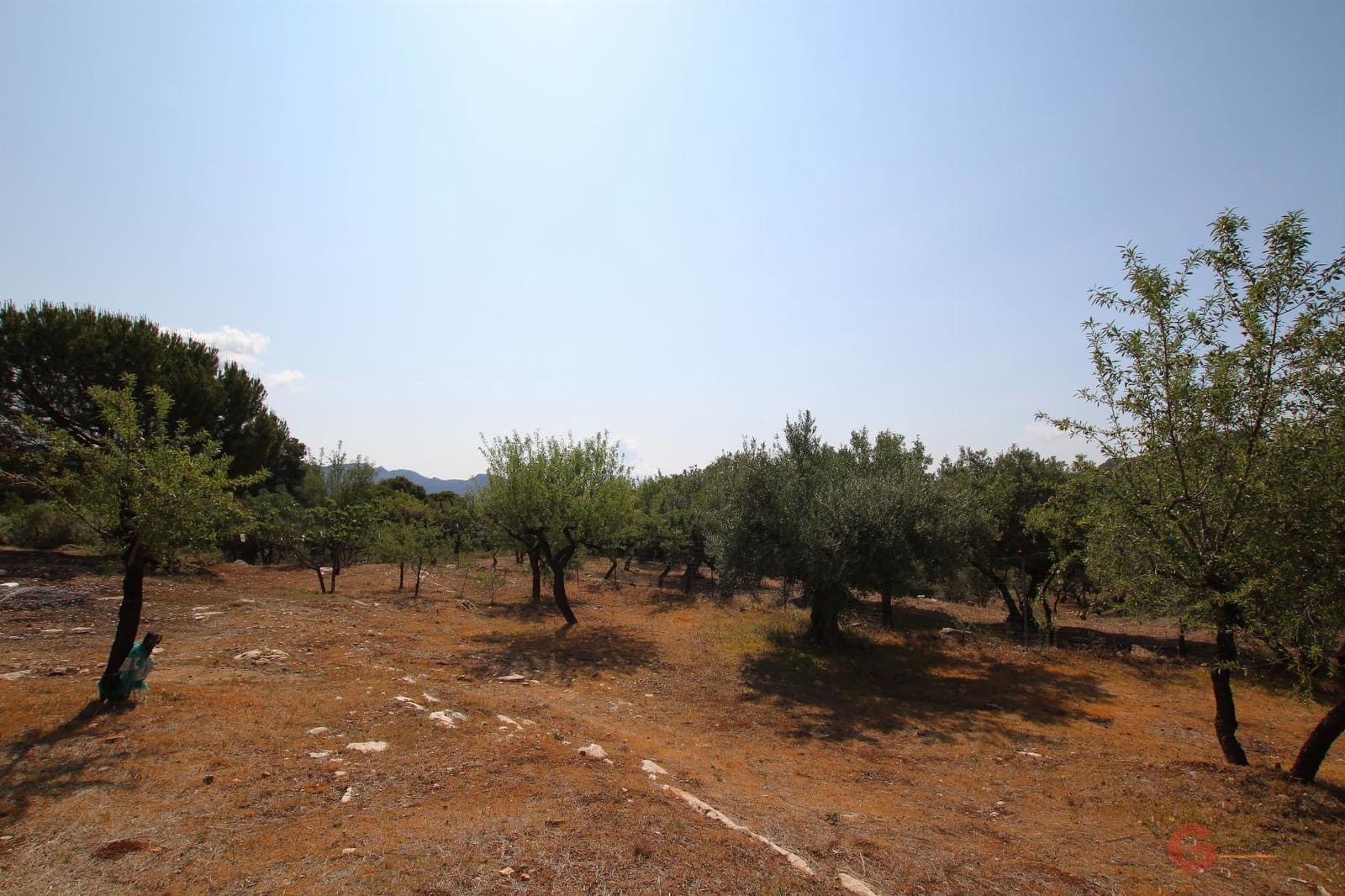 2 slaapkamer Finca/Landhuis te koop in Guajar Alto - € 223.000 (Ref: 7602357)