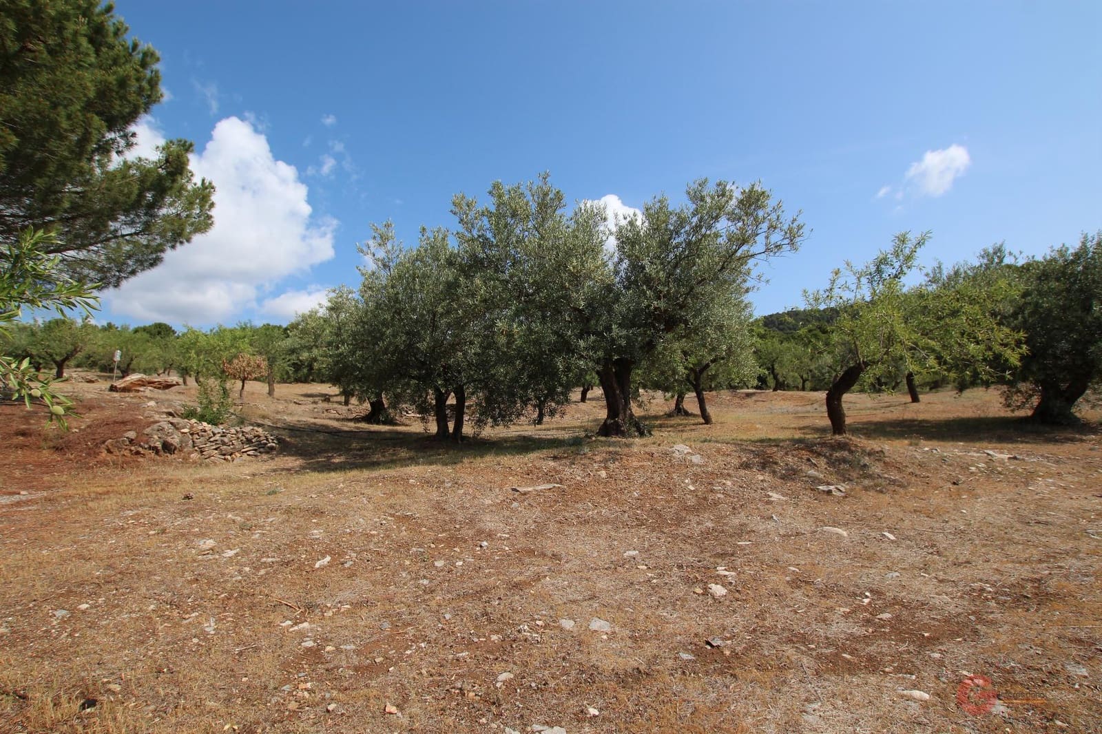 2 slaapkamer Finca/Landhuis te koop in Guajar Alto - € 223.000 (Ref: 7602357)