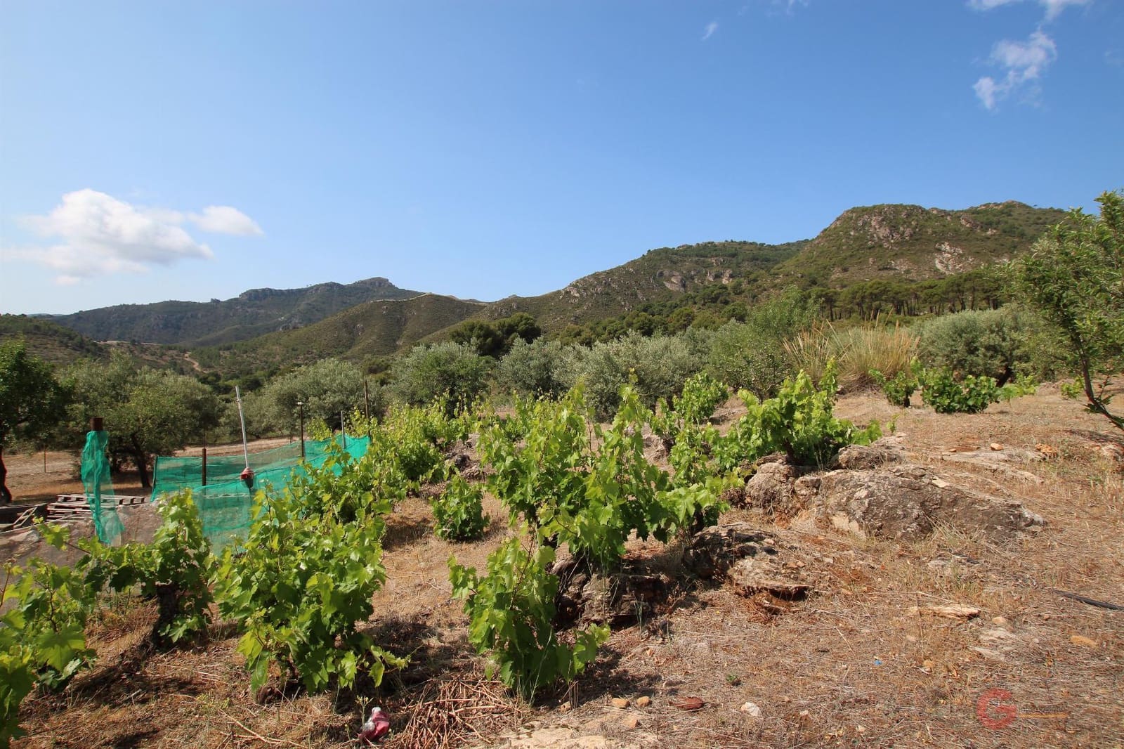 2 slaapkamer Finca/Landhuis te koop in Guajar Alto - € 223.000 (Ref: 7602357)