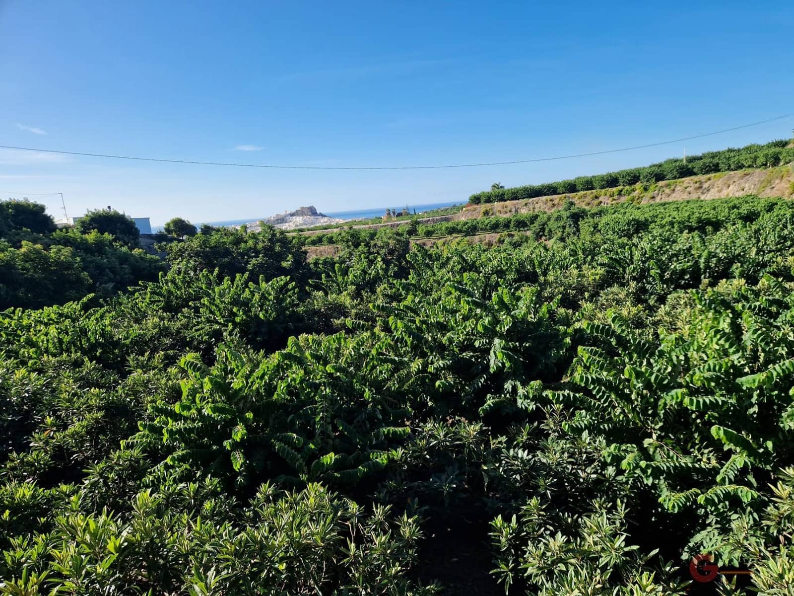 2 quarto Quinta/Casa Rural para venda em Salobrena com piscina garagem - 998 000 € (Ref: 7824652)