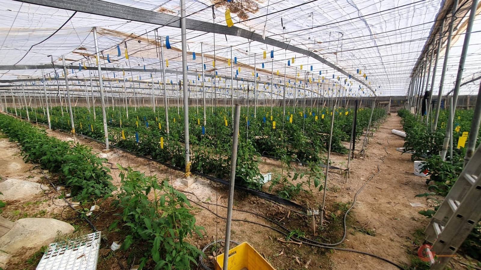 Finca/Landehus til salg i Velez de Benaudalla - € 287.000 (Ref: 7849048)