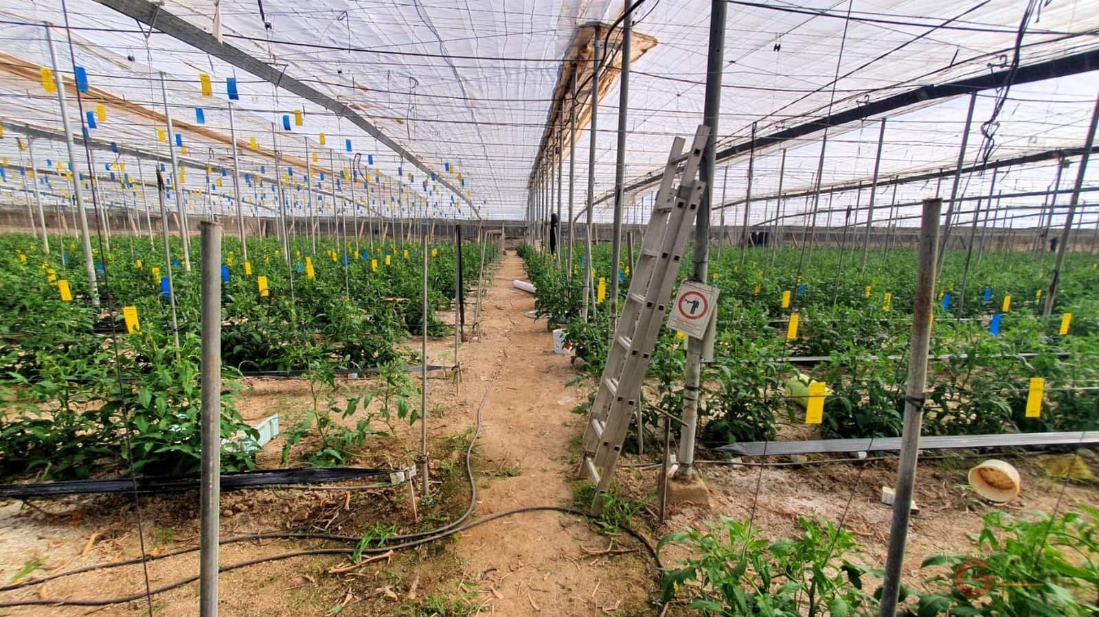 Finca/Landehus til salg i Velez de Benaudalla - € 287.000 (Ref: 7849048)