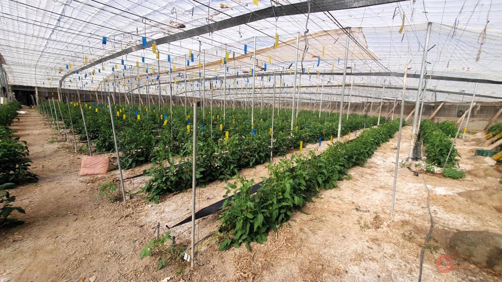 Finca/Landehus til salg i Velez de Benaudalla - € 287.000 (Ref: 7849048)