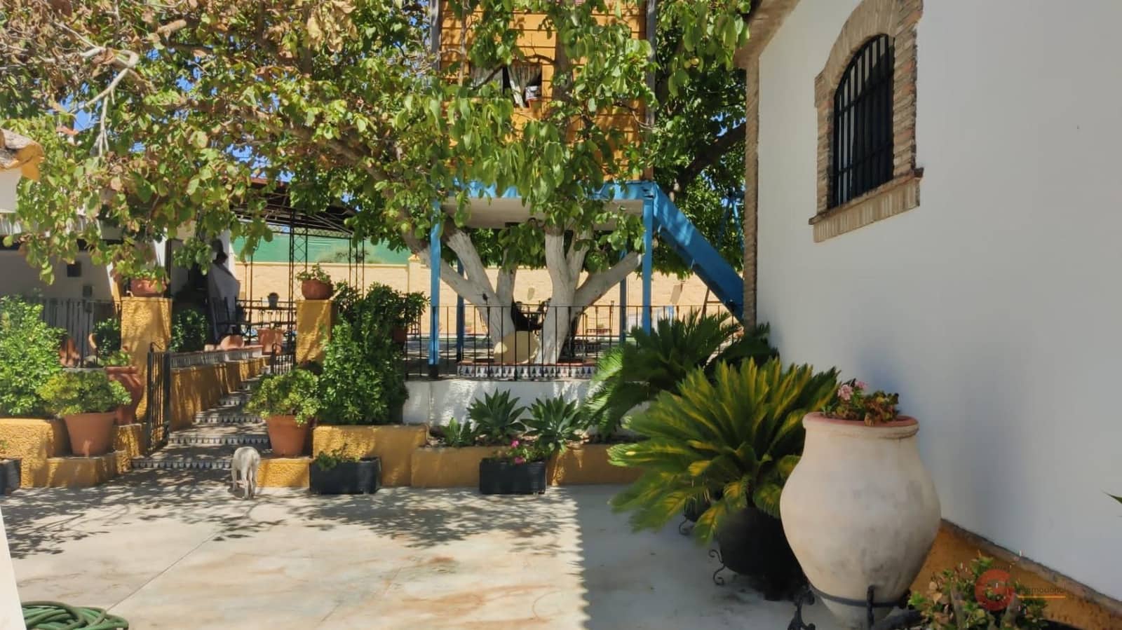 8 soveværelse Villa til salg i Montilla med swimmingpool garage - € 900.000 (Ref: 7867488)