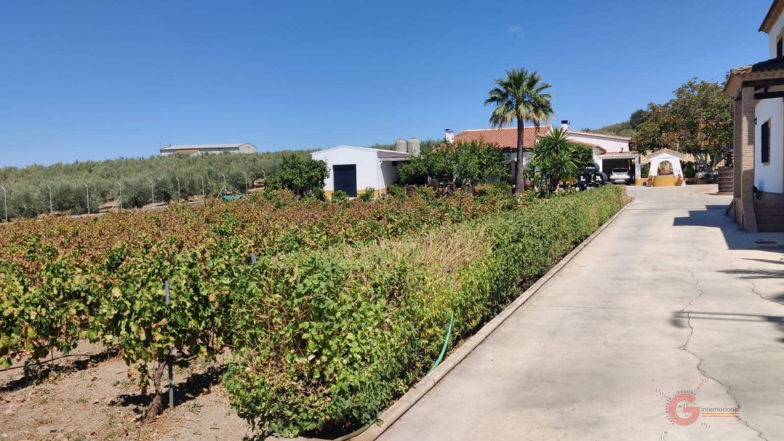 8 soveværelse Villa til salg i Montilla med swimmingpool garage - € 900.000 (Ref: 7867488)