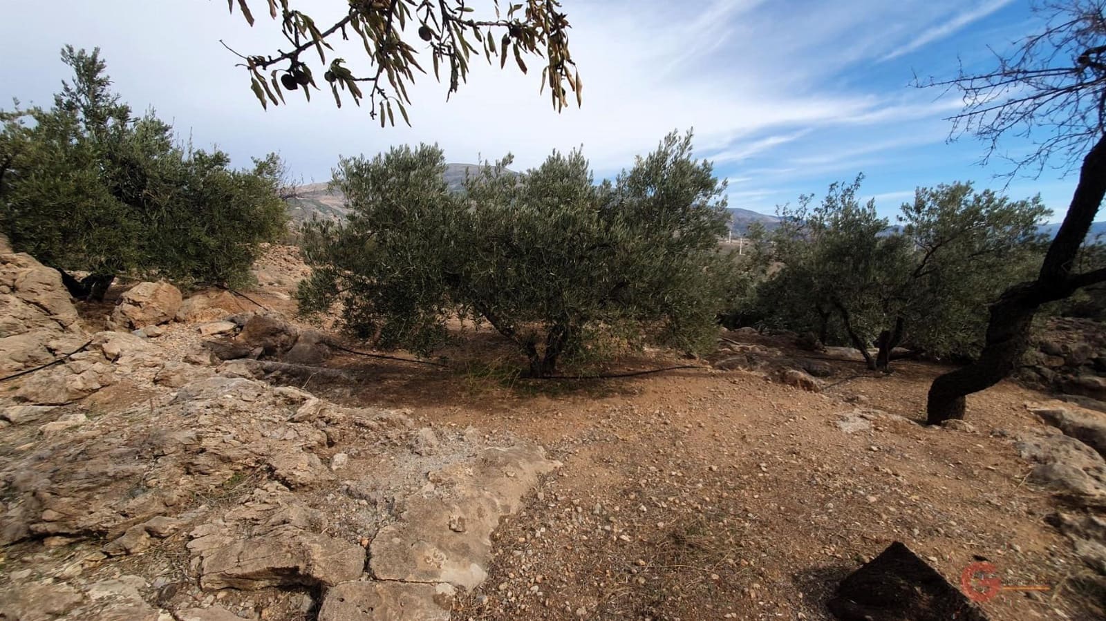 Byggegrund til salg i Pinar - € 63.000 (Ref: 7893514)