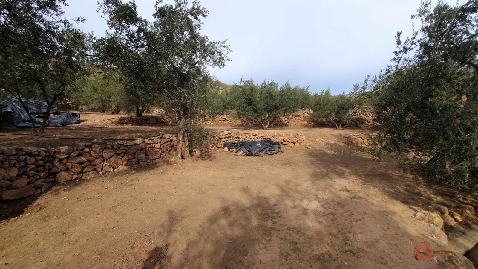 Byggegrund til salg i Pinar - € 63.000 (Ref: 7893514)